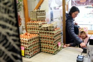 A termelők 5–10 százalékkal emelték a tojás árát Fotó: Lang Róbert