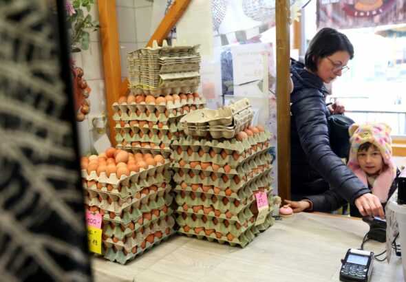 A termelők 5–10 százalékkal emelték a tojás árát Fotó: Lang Róbert