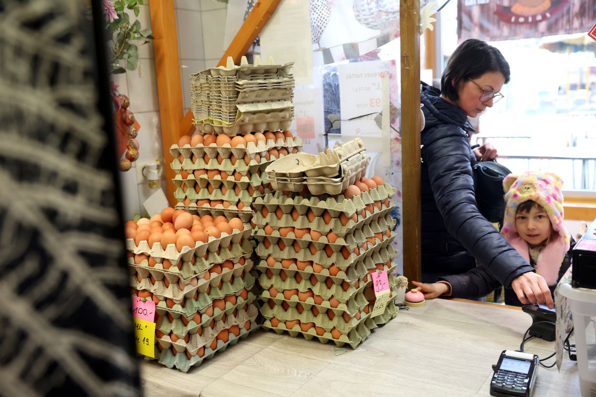 A termelők 5–10 százalékkal emelték a tojás árát Fotó: Lang Róbert