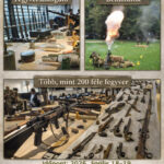 A fegyvermustra a szigetvári látogatók részére ingyenes, a nem szigetvári érdeklődők számára a belépőjegy ára 800 Ft.