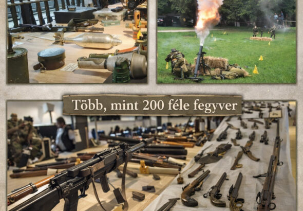 A fegyvermustra a szigetvári látogatók részére ingyenes, a nem szigetvári érdeklődők számára a belépőjegy ára 800 Ft.