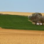 Indulnak a határellenőrzések a termőföldhasználók körében (Fotó: Horizont Média/Kohout Zoltán)