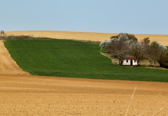 Indulnak a határellenőrzések a termőföldhasználók körében (Fotó: Horizont Média/Kohout Zoltán)