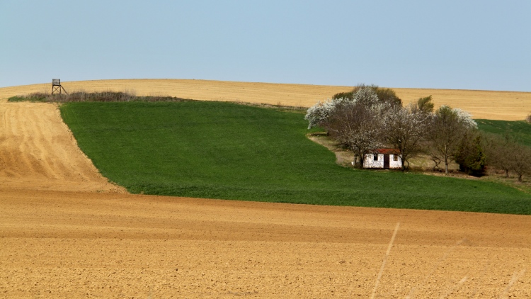 Indulnak a határellenőrzések a termőföldhasználók körében (Fotó: Horizont Média/Kohout Zoltán)