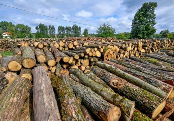 Nógrádot is érintheti a tűzifa-válság – riasztó adatokat közöltek a kutatók