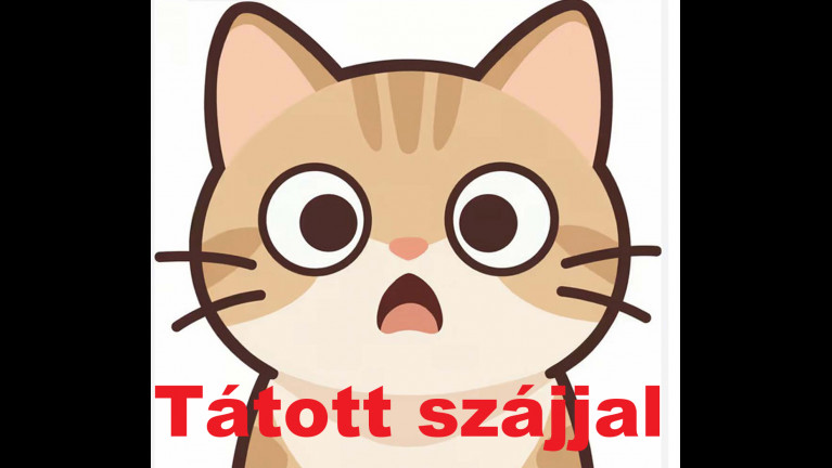 Thürmer: Tátott szájjal