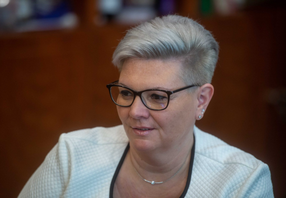 A parkfenntartási korrupciós ügy a XV. kerületet is elérte