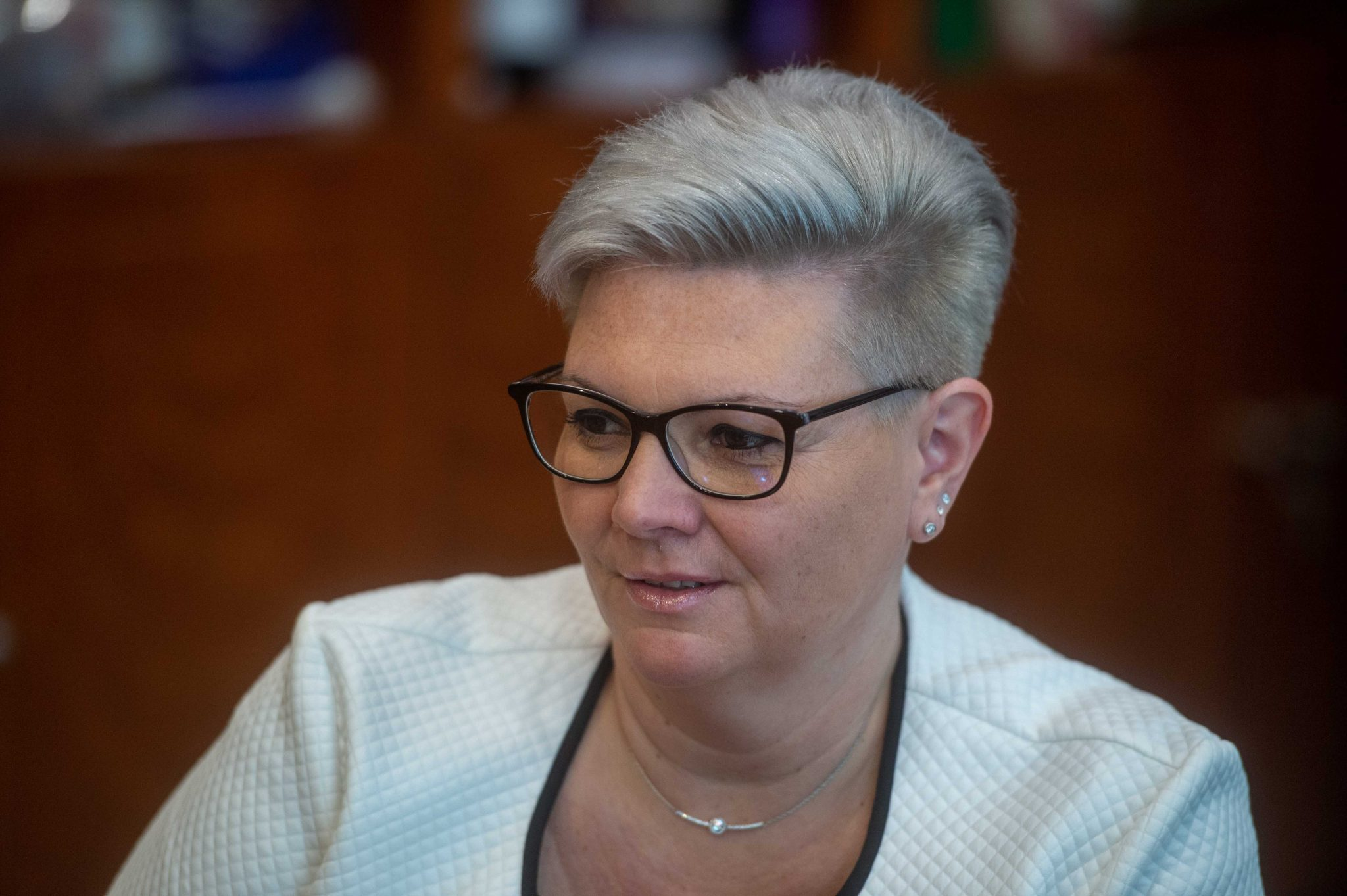A parkfenntartási korrupciós ügy a XV. kerületet is elérte