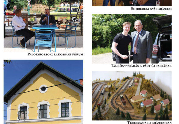 „Ha nincs gyökered, elvisz a szél”