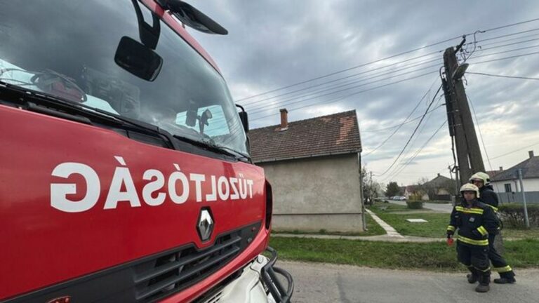 Az ítélet ellen az ügyész súlyosításért, a vádlott és védője felmentésért fellebbezett.