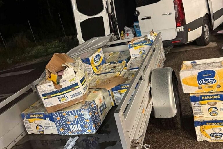 NAV pénzügyőrei 707 tasak, engedély nélküli potencianövelőt foglaltak le egy szerb kisteherautóból Röszkén. Fotó: NAV