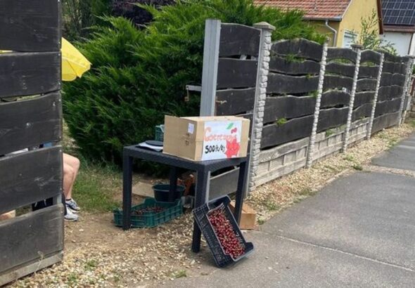 Ennyi a bevétel után már adózni kell