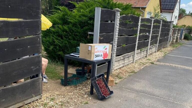 Ennyi a bevétel után már adózni kell