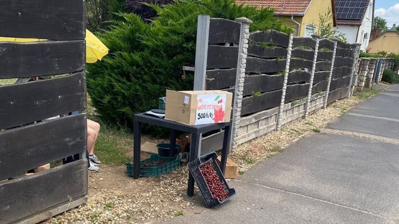 Ennyi a bevétel után már adózni kell