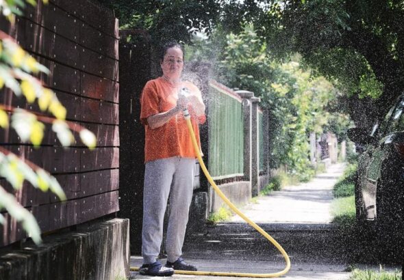 Sokan locsolják a kertet, de az apró élőlényekre nem gondolnak Fotó: MW, illusztráció