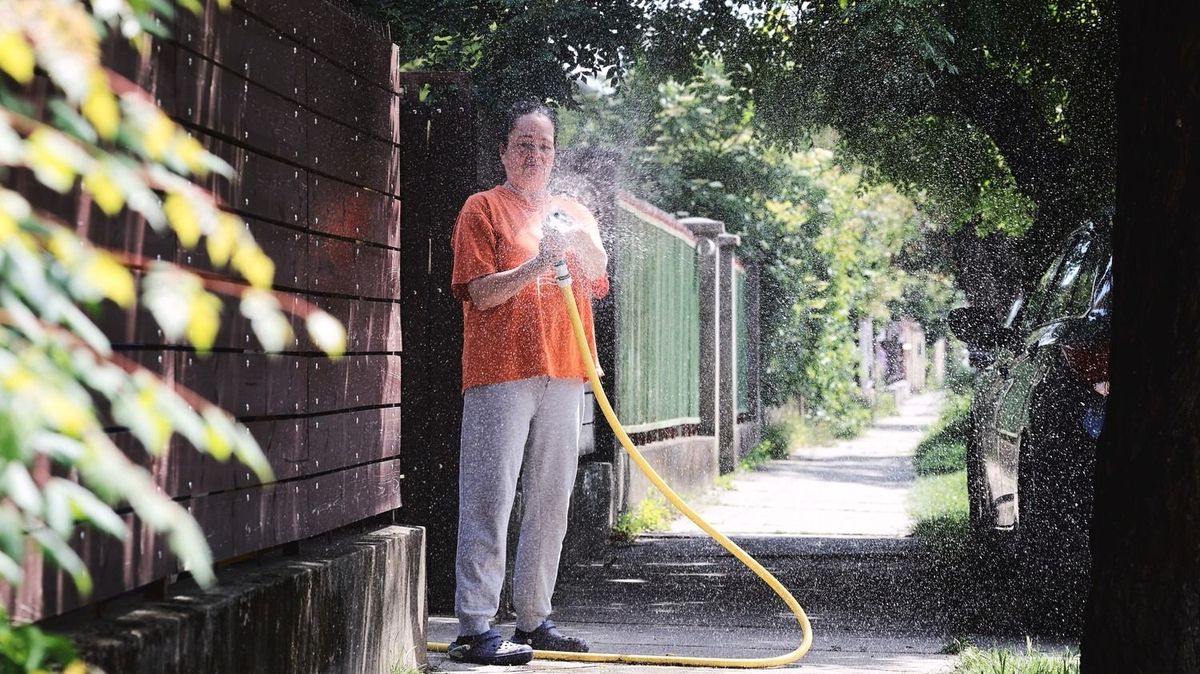 Sokan locsolják a kertet, de az apró élőlényekre nem gondolnak Fotó: MW, illusztráció