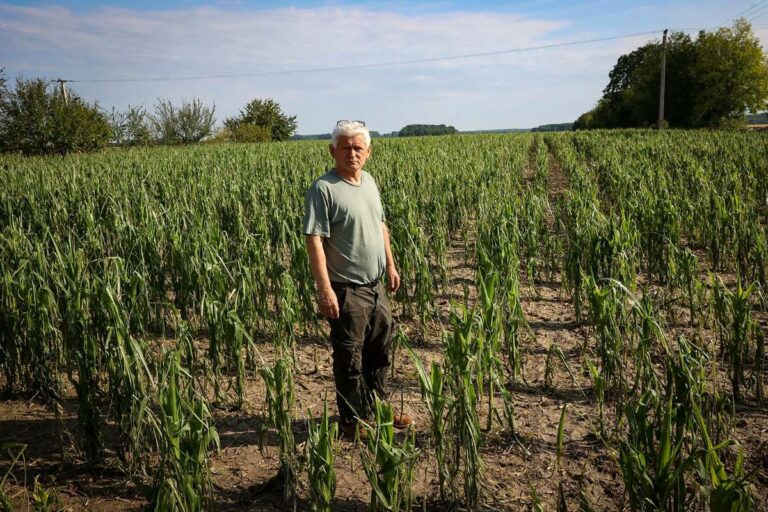 A kormányzat gyors kárenyhítést ígér a gazdáknak a vasárnapi vihar után, miközben a jégkármérséklő rendszer további fejlesztését is vizsgálják Forrás: teol.hu Fotó: Mártonfai Dénes