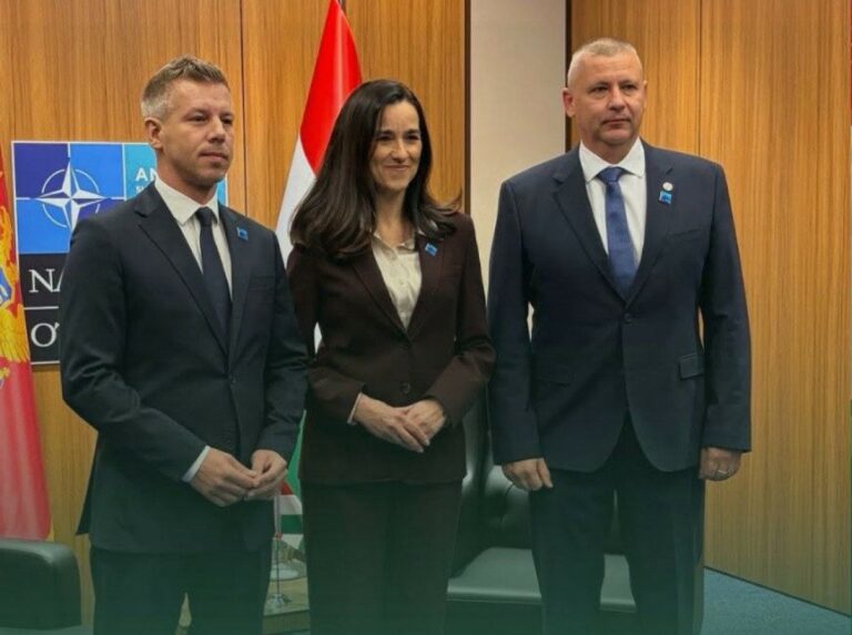 Magyar vezetők a NATO-csúcson