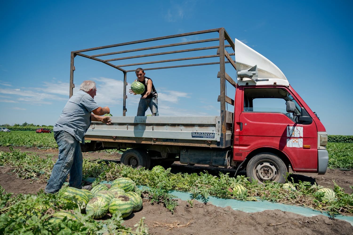 piaci válságok kezeléséhez elengedhetetlen a szoros termelői összefogás és az ágazat szervezettségének további erősítése.