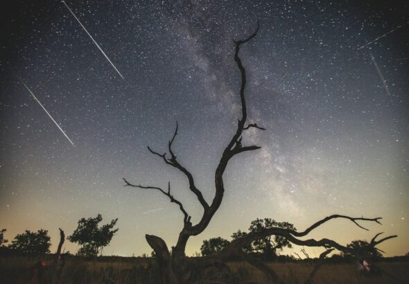Aki programot keres magának, az tekintsen felfelé: a Déli Delta Aquaridák és az Alfa Capricornidák meteorraj is látható lesz. Fotó: MW