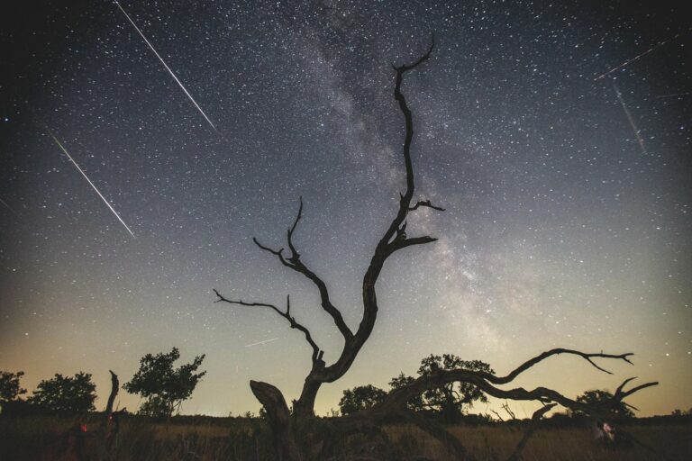 Aki programot keres magának, az tekintsen felfelé: a Déli Delta Aquaridák és az Alfa Capricornidák meteorraj is látható lesz. Fotó: MW