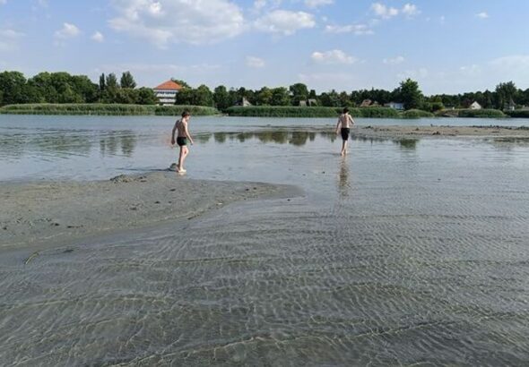 a reggeli órákban Siófoknál, egyméteres mélységben mért 23,5 Celsius-fokos vízhőmérséklet ideális felfrissülést garantál a nyári hőségben.