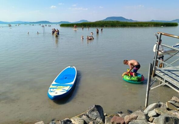 Az eset kapcsán értesítették a Balaton-felvidéki Nemzeti Park Igazgatóságát is, akik a helyszínre érkezve segítettek a megsebzett állatnak...