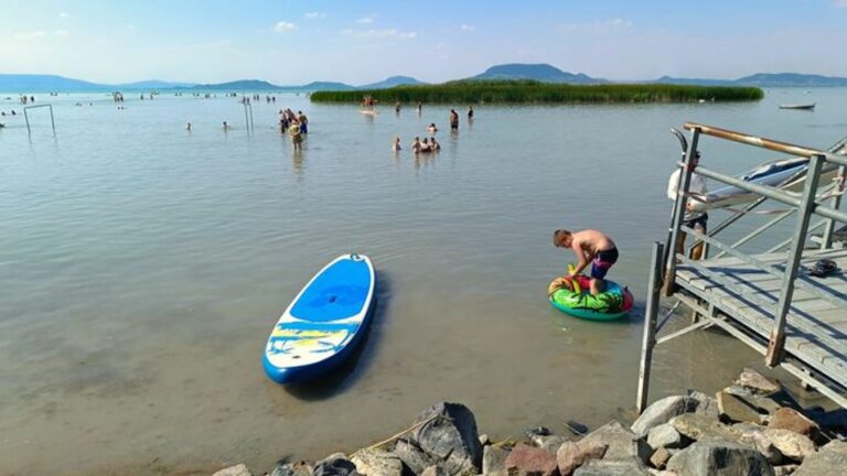 Az eset kapcsán értesítették a Balaton-felvidéki Nemzeti Park Igazgatóságát is, akik a helyszínre érkezve segítettek a megsebzett állatnak...