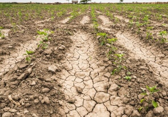 Az aszály elleni küzdelem ma már nem kizárólag az öntözésről szól, hanem arról is, hogy a lehulló esővíz mennyi ideig marad a földben. Forrás: Agrárszektor.hu