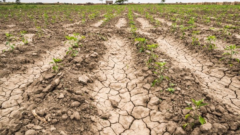 Az aszály elleni küzdelem ma már nem kizárólag az öntözésről szól, hanem arról is, hogy a lehulló esővíz mennyi ideig marad a földben. Forrás: Agrárszektor.hu