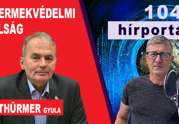 Gyermekvédelmi válság