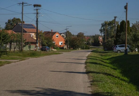 Ebzárlat és legeltetési tilalom lesz érvényben Hajdú-Bihar több mint 70 településén október 3-ól Forrás: Illusztráció/Napló-archív