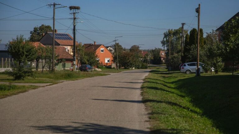 Ebzárlat és legeltetési tilalom lesz érvényben Hajdú-Bihar több mint 70 településén október 3-ól Forrás: Illusztráció/Napló-archív