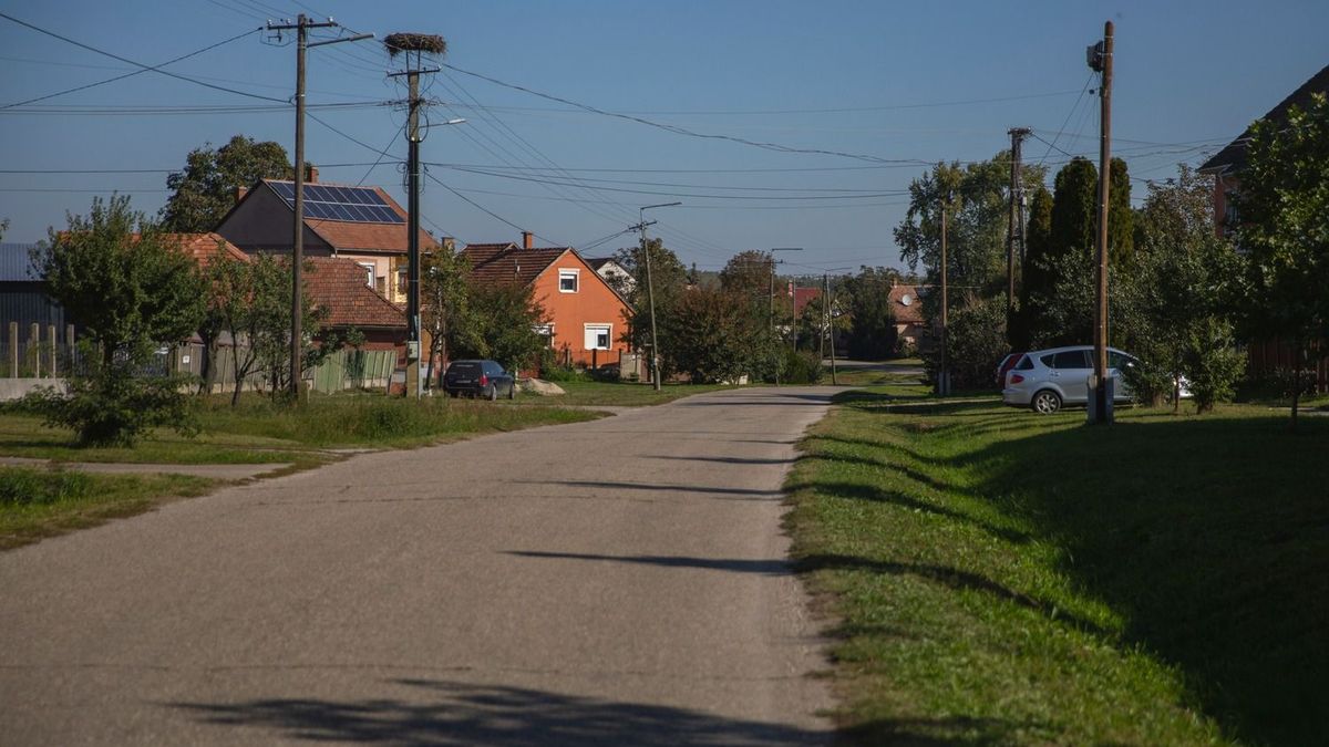 Ebzárlat és legeltetési tilalom lesz érvényben Hajdú-Bihar több mint 70 településén október 3-ól Forrás: Illusztráció/Napló-archív