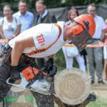 Illusztráció // Stihl