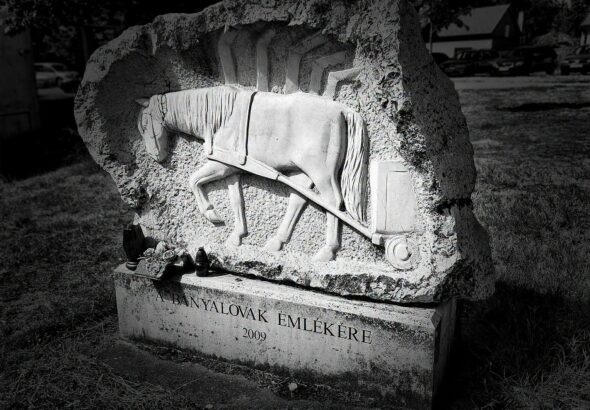 "A bányalovak emlékére"