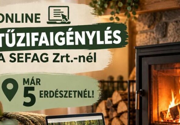 Már öt SEFAG-erdészetnél igényelhető online tűzifa