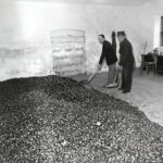 Szelídgesztenye leadás 1981-ben Iharosberényben Forrás: MW-archív