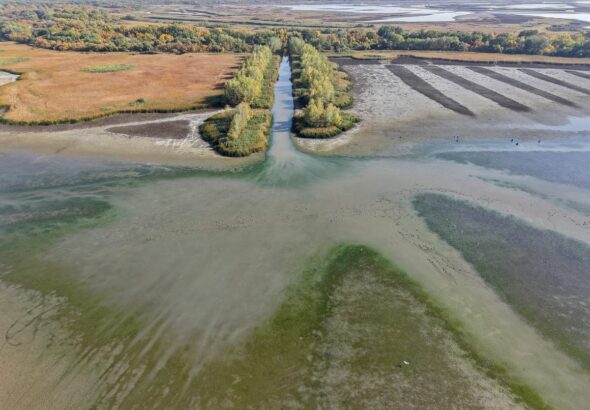 Lenyűgöző minták rajzolódnak ki a Tisza-tó medrében Forrás: Facebook/MOHOSZ Tisza-tavi Kirendeltség